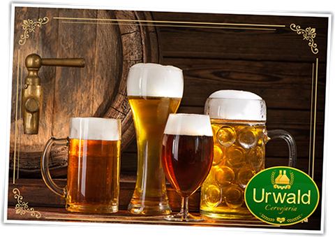 Lindas mulheres saboreando o Chopp da Urwald